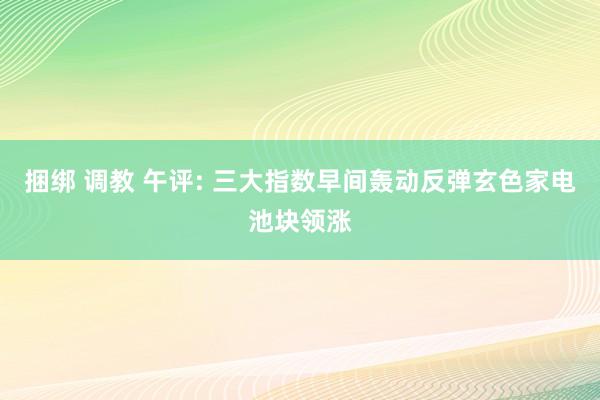 捆绑 调教 午评: 三大指数早间轰动反弹玄色家电池块领涨