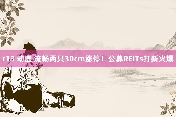 r18 动漫 流畅两只30cm涨停！公募REITs打新火爆