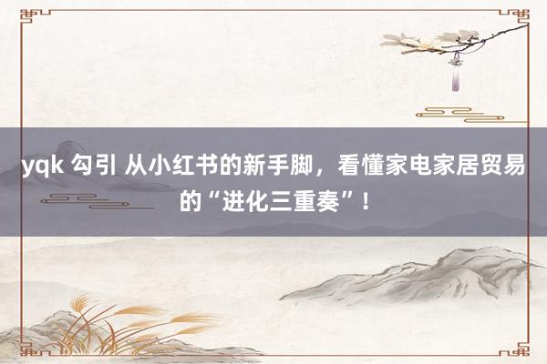 yqk 勾引 从小红书的新手脚，看懂家电家居贸易的“进化三重奏”！