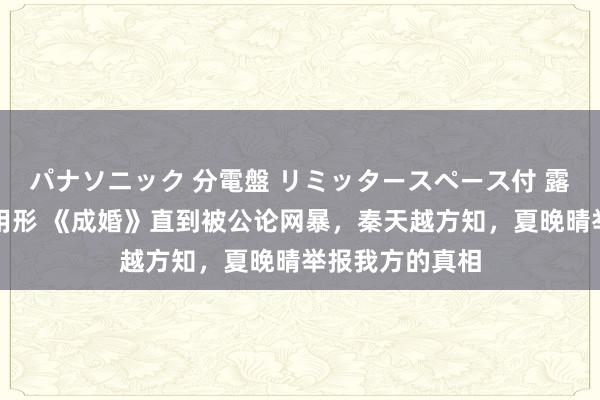 パナソニック 分電盤 リミッタースペース付 露出・半埋込両用形 《成婚》直到被公论网暴，秦天越方知，夏晚晴举报我方的真相