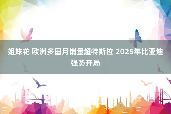 姐妹花 欧洲多国月销量超特斯拉 2025年比亚迪强势开局
