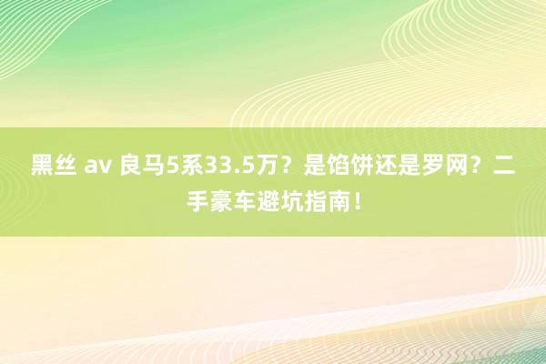 黑丝 av 良马5系33.5万？是馅饼还是罗网？二手豪车避坑指南！